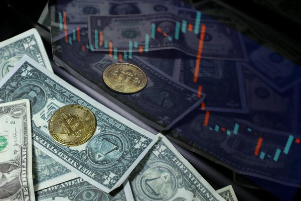 Les OPCVM et la gestion du risque